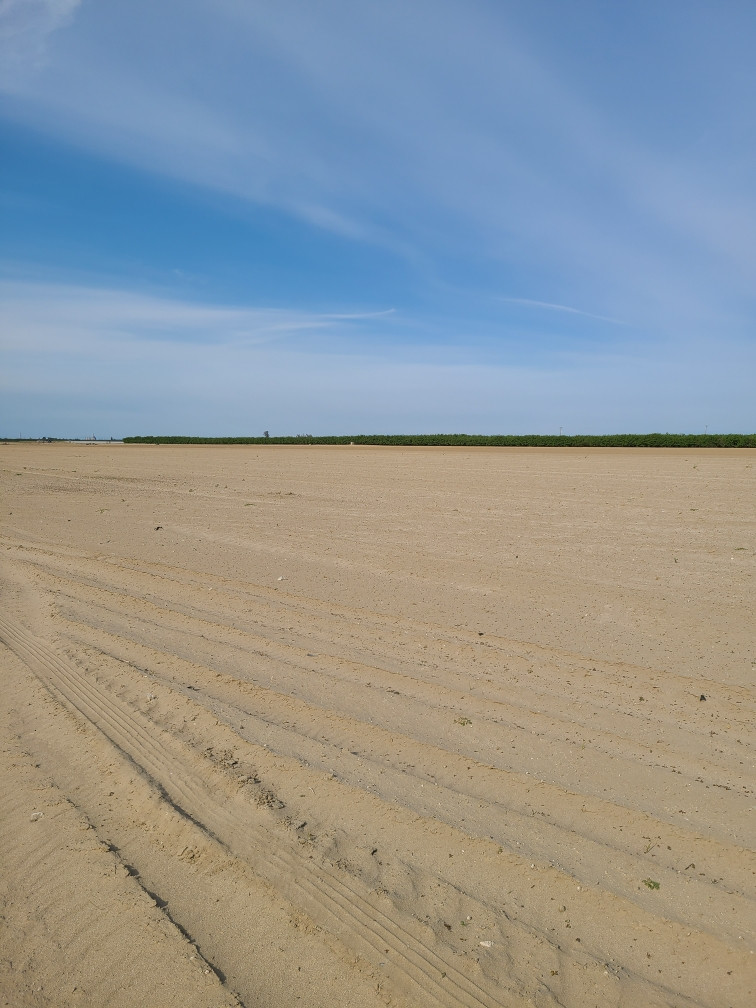 Practice Tracking Field